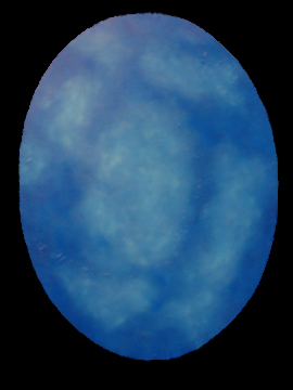 blueskin